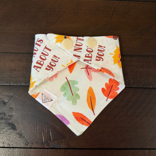 Cream pet bandana with smiling acorns, autumn leaves, pink hearts, and the words I’m nuts about you.