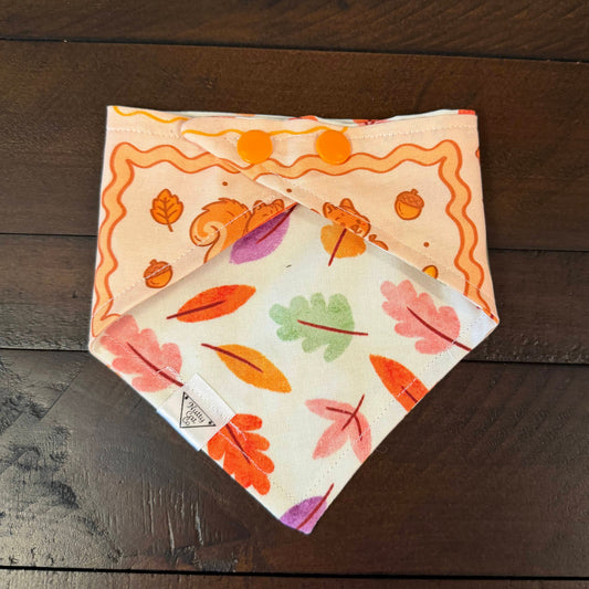 Cream pet bandana with an orange hedgehog, ribbon bow, and autumn foliage in decorative frames.