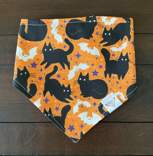 Scaredy Cat Pet Bandana