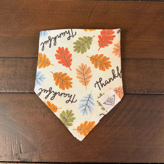 Cream pet bandana with colorful autumn leaves and the word Thankful in black script.