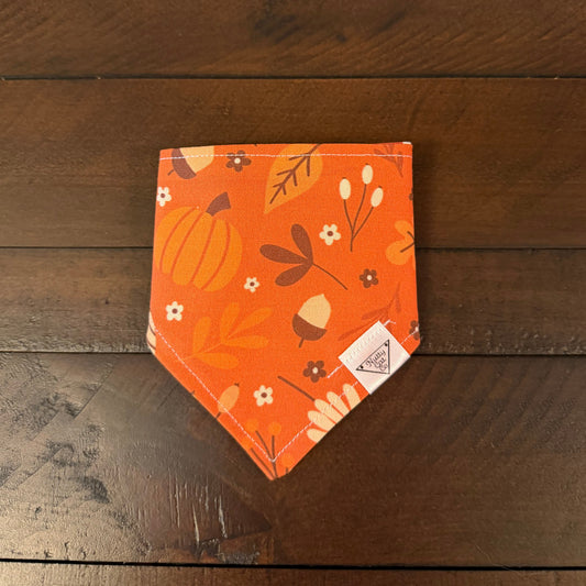 Orange pet bandana with pumpkins, acorns, leaves, branches, and small cream flowers.