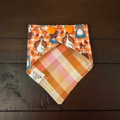 Silly Thanksgiving Geese pet bandana showing an orange, pink, and cream gingham reverse and orange snaps.