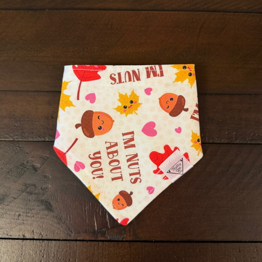 Cream pet bandana with smiling acorns, autumn leaves, pink hearts, and the words I’m nuts about you.